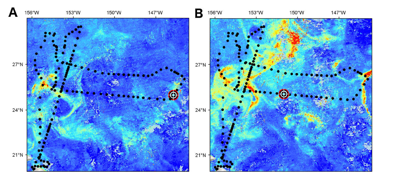 Weekly composites of MODIS Chlorophyll showing the Honey Badger track line and location during A) the August 3, 2015 Hemiaulus bloom and B) the August 16, 2015 Rhizosolenia bloom. From Anderson et al. (2018).
